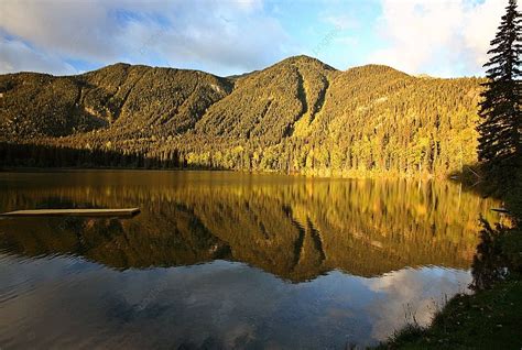 Hart Lake In Awesome Alberta Fall Reflection Autumn Photo Background