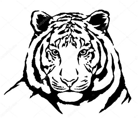 Tiger Pen Drawing At Getdrawings Free Download