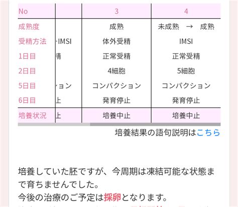 Klc 7回目採卵 培養結果 42歳klcで体外受精二人目挑戦中