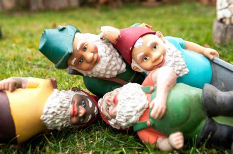 Gnome Facts: 11 Fascinating Insights into these Mythical Garden ...