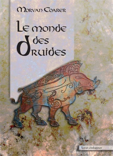 Le Druidisme Et Les Druides Par Mona Braz Druidesse En Bretagne