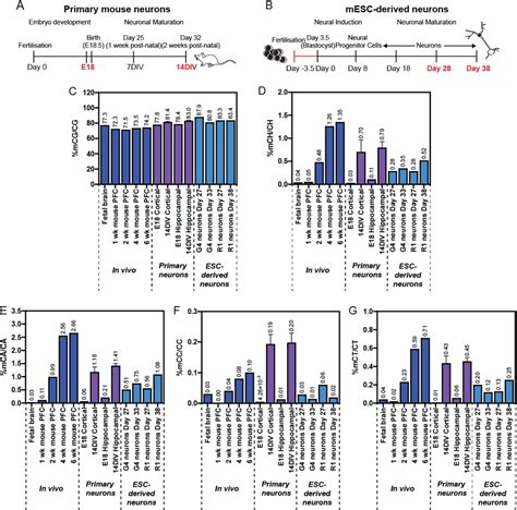 Conserved And Divergent Features Of Dna Methylation In Embryonic Stem