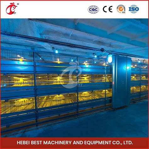 Bestchickencage China Cheap Diy Chicken Coop Factory H Frame Automatic