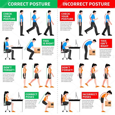 Posturas Correctas E Incorrectas Infografías Vector De Stock Por