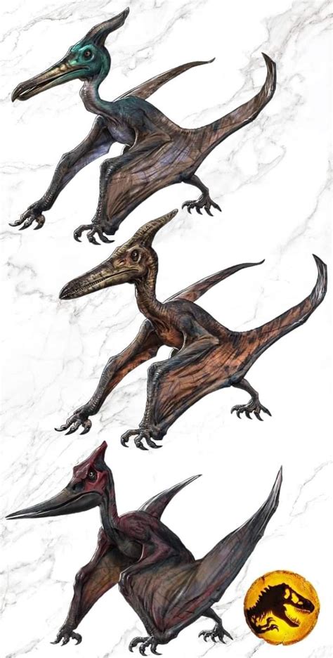 Four Different Types Of Dinosaurs On A White Background