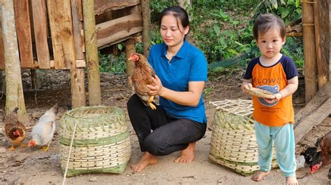 Harvesting Bottle Gourd Goes To Market To Sell Handmade Bamboo Basket