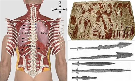 The Blood Eagle Was A Brutal Execution Method From Vikings Where The