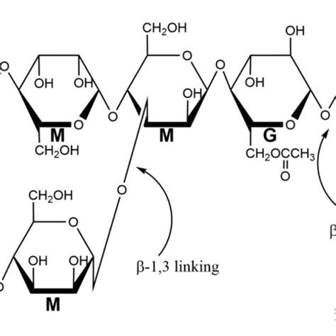 β 13 Glycosidic Bond Branched Chain Structure At The C3 Position Of Download Scientific