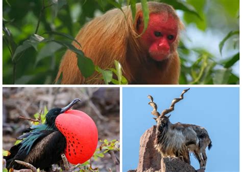 5 Model Dan Gaya Rambut Pendek Yang Cocok Buat Bentuk Wajah