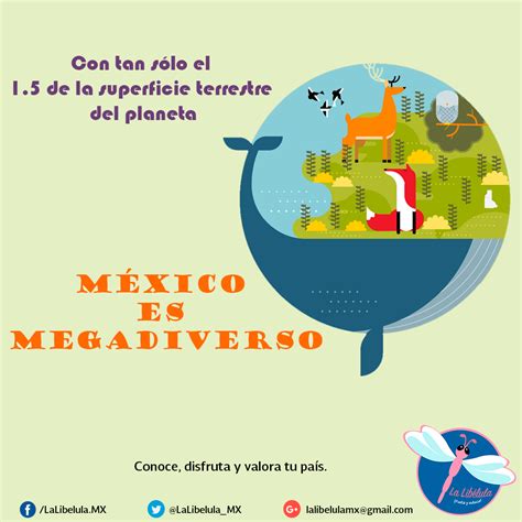 Diez Razones Por Las Que México Es Un País Megadiverso 🇲🇽🐍🌵