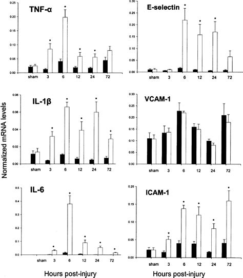 Quantitative Real Time Rtpcr Analysis Of Inflammatory Gene Expression