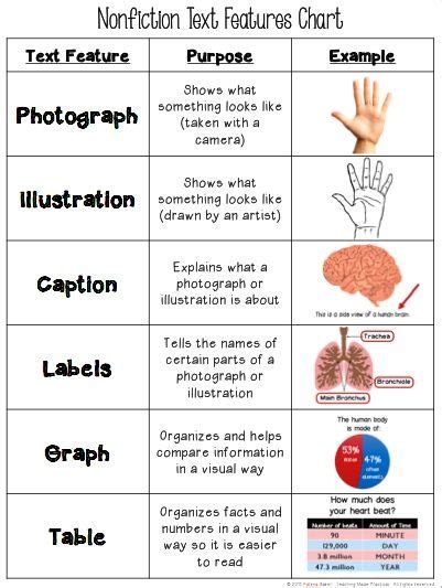 Text Features flashcards Diagram | Quizlet