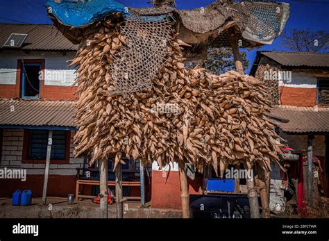 Traditional house in the mountain village of Pokhara showing life ...