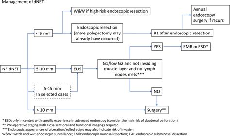 European Neuroendocrine Tumor Society Enets 2023 Guidance Paper For