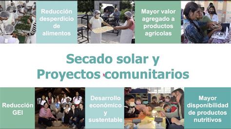 Implementan T Cnica De Secado Solar Para Prolongar La Vida De Alimentos