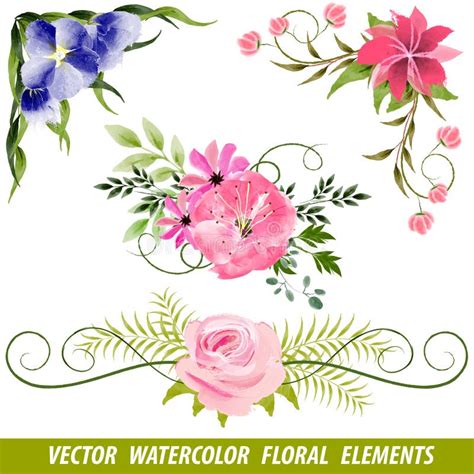 Grupo De Elementos Florais Da Aquarela Do Vetor Ilustra O Do Vetor