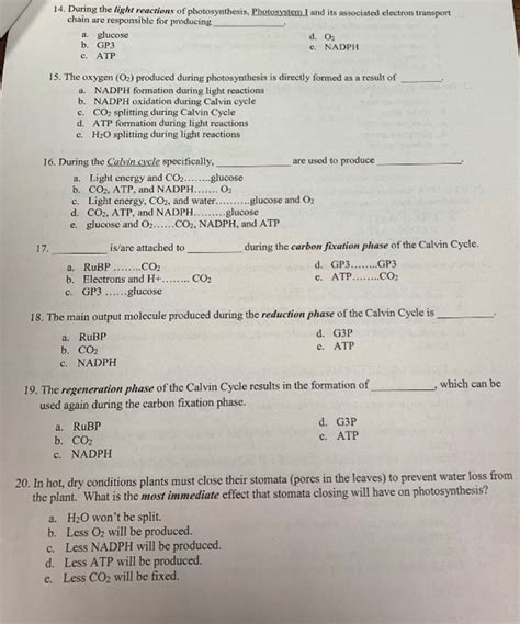 Solved 14 During The Light Reactions Of Photosynthesis