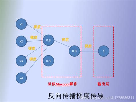 理解maxpool最大池化的作用与反向传播 Csdn博客