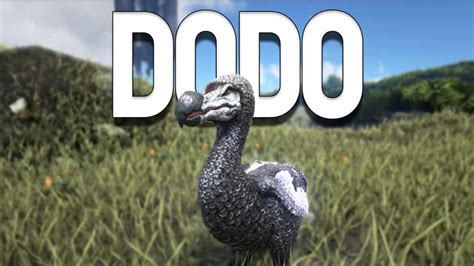 Ark Dodo How To Tame Feed And Breed