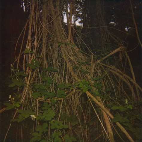 Stanza by Benoît Pioulard Album Ambient Reviews Ratings Credits