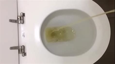 Pau Mole Videos XVIDEOS