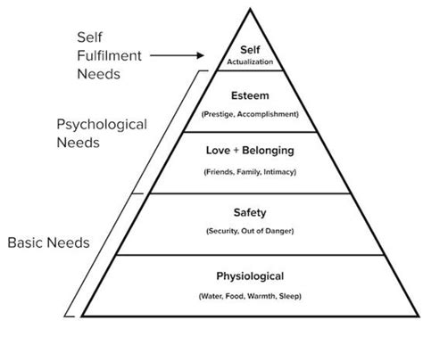 Consequences Influence Behavior Best Describes Which Theory Of Motivation