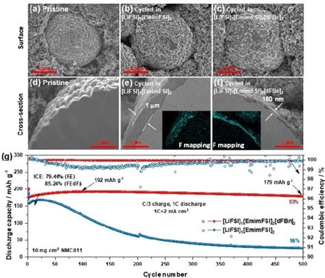 The A C Surface And D F Cross Sectional Morphology Of NMC811