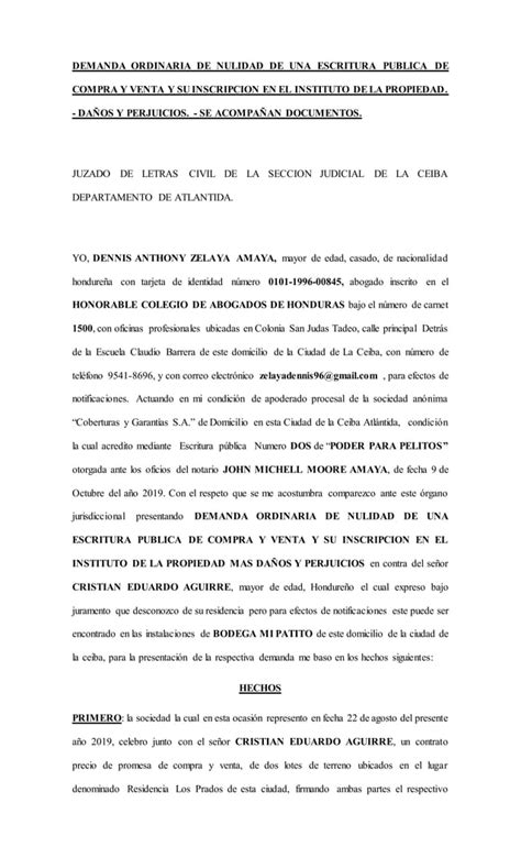 Demanda Ordinaria De Nulidad De Una Escritura Publica De Compra Y Venta