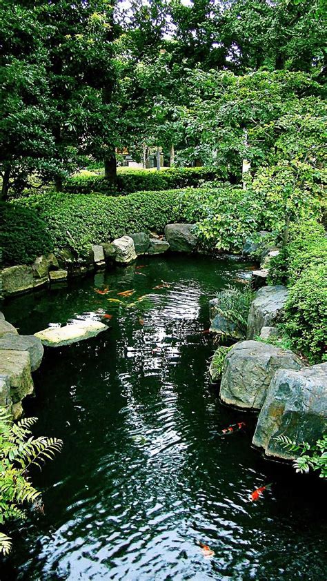 Nice landscaping pond – Artofit