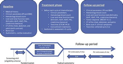 Randomized Phase Iii Trial Of Dose Dense Methotrexate Vinblastine