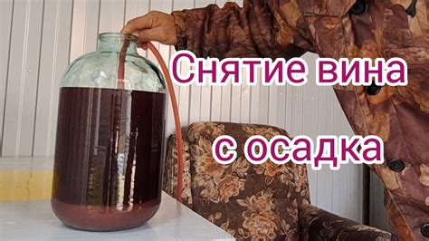 Домашнее вино из винограда | снятие вина с осадка после брожения - YouTube