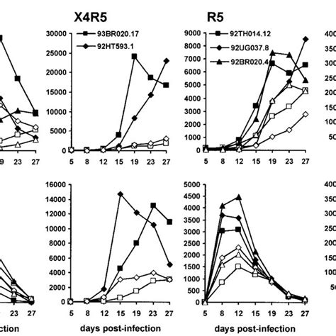 Nef Increases Replication Of R5 Tropic X4 Tropic And Dualtropic HIV 1