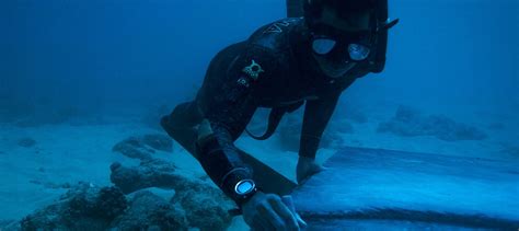 Dying Coral Reefs Inspired Artist Sean Yoros Underwater Murals