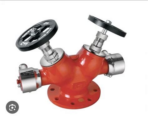 Material Stainless Steel Valve Size Inch Ss Double Headed Hydrant