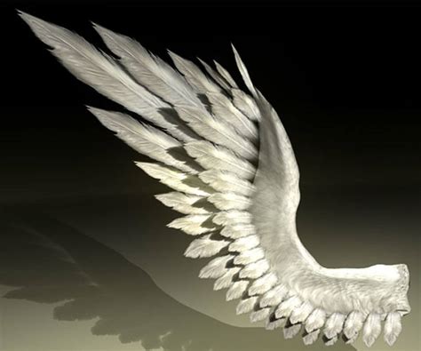 Bird Angel Wing - 3D Model by QUARTOMUNDO