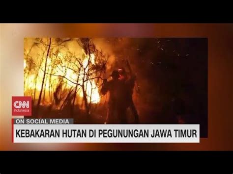 Kebakaran Hutan Di Pegunungan Jawa Timur YouTube