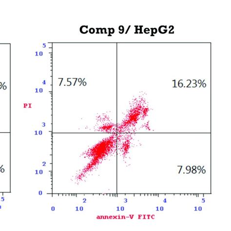 Compound Induces Apoptosis In Hepg Cells A Hepg Cells Were