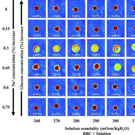 D Images Presenting The Morphology Of Rbcs For One Healthy Subject In