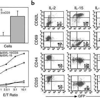 Tcr Stimulation Induces Cells Maintained In Il To Proliferate