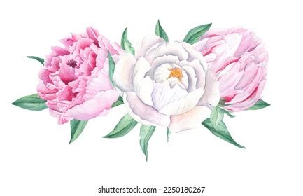 Watercolor Peonies Bouquet Isolated On White Stock Illustration