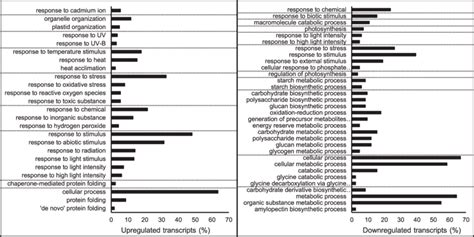 Gene Ontology Go Enrichment Analysis For Differentially Expressed