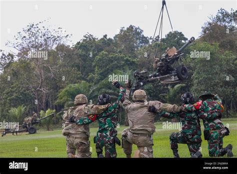 army cannoncrew members assigned   battalion  field
