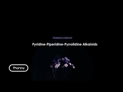 Pharmacognosy Pyridine Piperidine Pyrrolidine Alkaloids YouTube