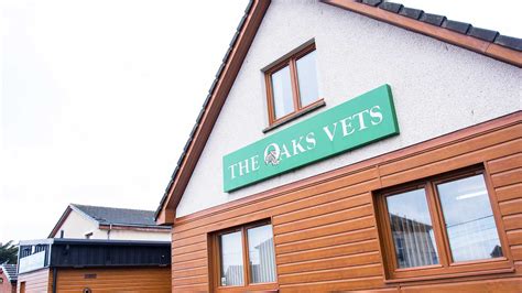 About Us Local Vets Across Ayrshire The Oaks Vet Centre