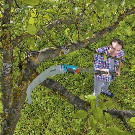 Tree Pruning Hand Tools Tooled-Up Blog