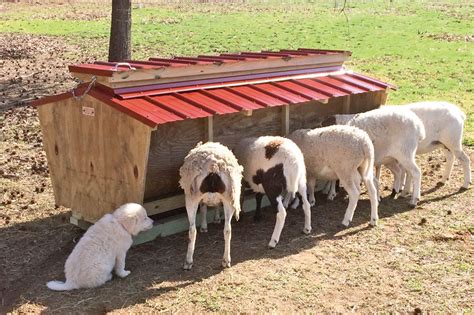 Sheep And Goat Feeders A1 Cattle Feeders