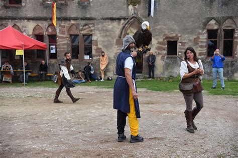 Moyen Spectacles de fauconnerie organisés par l Association du château