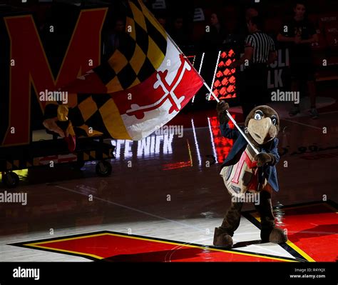 University of maryland mascot hi-res stock photography and images - Alamy