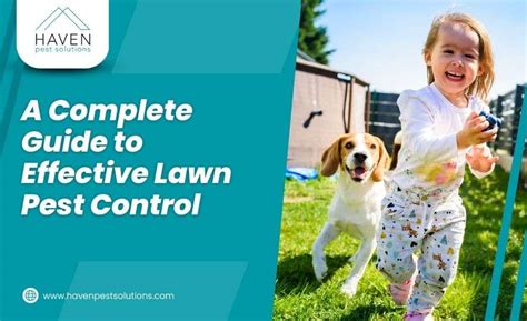 Lawn Pest Control: A Complete Guide to a Pest-free Lawn