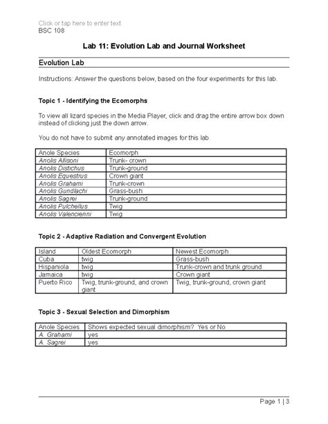 Bsc Lab Evolution Lab And Journal Worksheet Click Or Tap Here